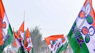 গোয়ায় লড়াইতে তৃণমূল