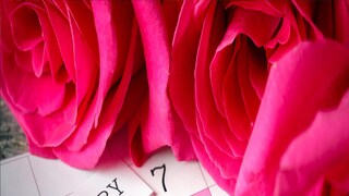 প্রতীকী ছবি। 