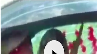 গাড়িতেই বরকে তুমুল মারধর নতুন কনের!