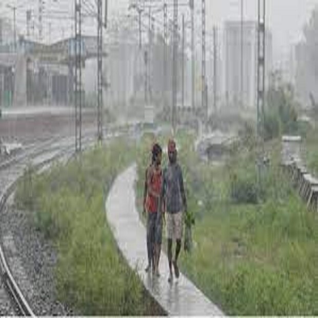 আগামী ৪৮ ঘণ্টায় হালকা থেকে মাঝারি কুয়াশা রাজ্য জুড়ে। উত্তরবঙ্গে আগামীকাল উপরের দিকের পাঁচ জেলায় হালকা বৃষ্টির সম্ভাবনা। তবে দক্ষিণবঙ্গের বৃষ্টির সম্ভাবনা নেই আগামীকাল থেকে। 