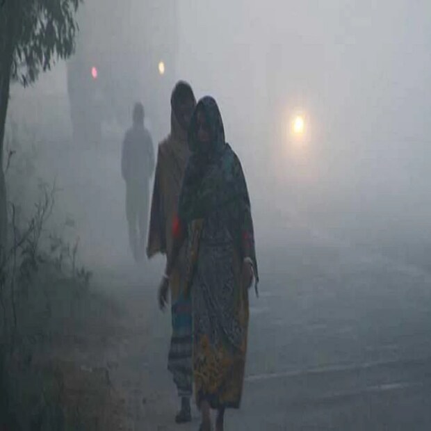 দার্জিলিং, কালিম্পং, আলিপুরদুয়ার, কোচবিহার এবং জলপাইগুড়ি এই পাঁচ জেলায় মাঝারি বৃষ্টির সম্ভাবনা। হালকা বৃষ্টির পূর্বাভাস উত্তর ও দক্ষিণ দিনাজপুর এবং মালদহ জেলায়। 