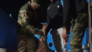 উদ্ধার কচ্ছপ