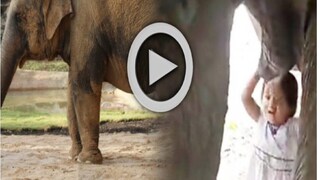 photo source Twitter 