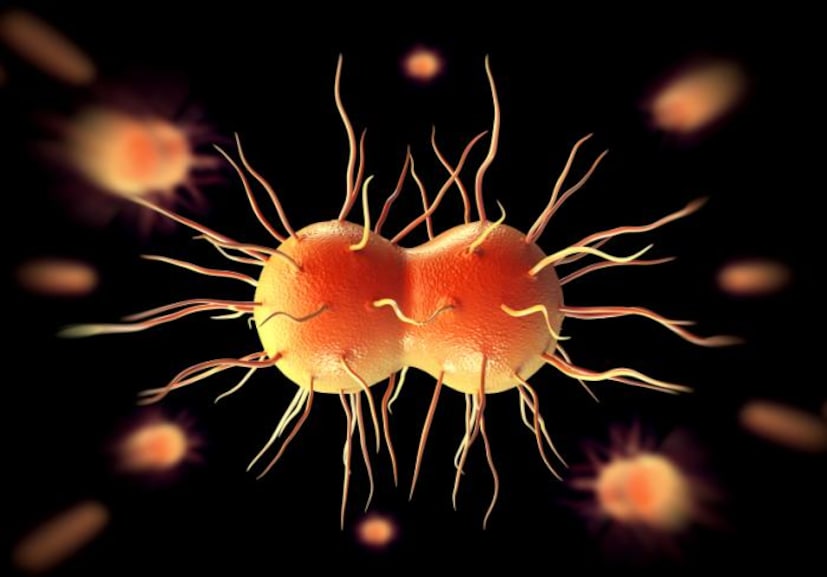 গনোরিয়া-- নাইসেরিয়া গনোরিয়া (Nersserra gonorrhoea) নামক একটা জীবাণু দ্বারা সংক্রমিত একটি যৌনবাহিত রোগ। নারী পুরুষের জটিল যৌন রোগ গুলির মধ্যে গনোরিয়া এমন একটি রোগ যা কেবল যৌন সম্পর্কের মাধ্যমে এক পুরুষ থেকে অন্য নারীতে বা এক নারী থেকে অন্য পুরুষে সংক্রমিত হতে থাকে। এ রোগের ক্ষেত্রে রক্তের সঙ্গে জীবাণু সংস্পর্শ খুবই কম। এটি বংশ পরম্পরায় সংক্রমিত হয় না। সাধারণত নারী বা পুরুষের যৌনাঙ্গে এ জীবাণু ক্ষত সৃষ্টি করে থাকে। এ ক্ষতে পুঁজ সৃষ্টি হয়। এ পুঁজ যদি অন্য নারী বা পুরুষের যৌনাঙ্গে স্পর্শ করে তাহলে এ জীবাণু তাদের যৌনাঙ্গে প্রবেশ করে। সেখানে বাসা বাঁধে এবং ক্ষতের সৃষ্টি করে। পুরুষের ক্ষেত্রে প্রাথমিক উপসর্গের মধ্যে দেখা যায়-- মূত্রনালিতে সংক্রমণ, মূত্রনালি থেকে পুঁজের মত তরল বের হওয়া, মূত্রনালিতে সংক্রমন হলে প্রস্রাব করতে কষ্ট হয়, জ্বালা করে। পরবর্তীতে, হাটু বা অন্যান্য সন্ধিস্থলে ব্যথা করে, ফুলে ওঠে। প্রসাব করতে প্রচন্ড কষ্ট হয় এবং অনেক সময় বন্ধ হয়ে যায়। পুরুষত্ব হারাতে পারেন। মহিলাদের ক্ষেত্রে প্রাথমিক উপসর্গের মধ্যে যোনিপথ থেকে পুঁজের মতো হলুদ স্রাব বের হয়। যোনিপথে এবং মূত্রনালিতে জ্বালা করে। পরবর্তীতে, তলপেটে ব্যথা হতে পারে, ঋতুস্রাব সংক্রান্ত সমস্যা দেখা দেয়, বন্ধ্যাত্ব আসতে পারে।