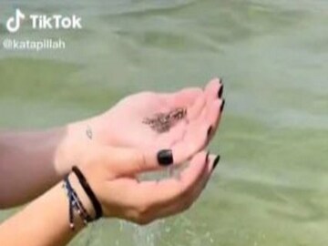 হাতে নীল অক্টোপাস মহিলার ৷ টিকটক ভিডিও থেকে নেওয়া ছবি ৷