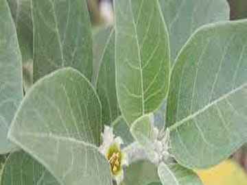 প্রতীকী ছবি ৷