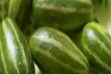 Food Values of Pointed কৃমি দূর করে পেট ঠান্ডা রাখে পটল, চুলের সমস্যা দারুণ ওষুধ
