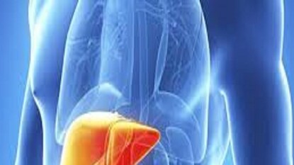 প্রতীকী ছবি ৷ প্রতীকী ছবি ৷