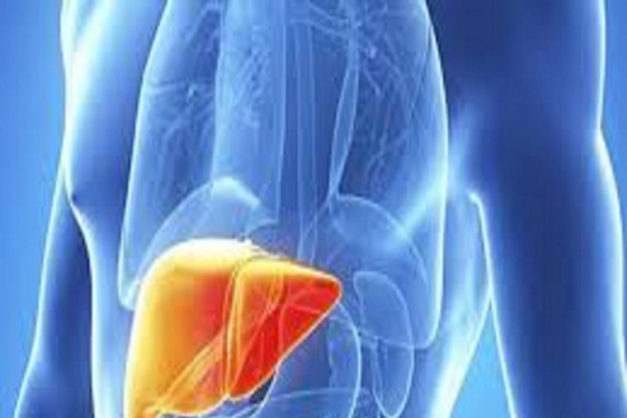 Lifestyle: ফ্যাটি লিভারের সমস্যা দেখা দেয়নি তো? বলে দেবে নিঃশ্বাসের গন্ধ!