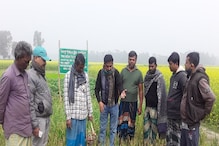 সাতসকালে আলুর জমিতে চাপ চাপ রক্ত, উদ্ধার দেহ! চরম উত্তেজনা চন্দ্রকোনায়! সাতসকালে আলুর জমিতে চাপ চাপ রক্ত, উদ্ধার দেহ! চরম উত্তেজনা চন্দ্রকোনায়!