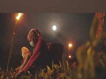 Moonlight Tea (ছবি এএনআই)