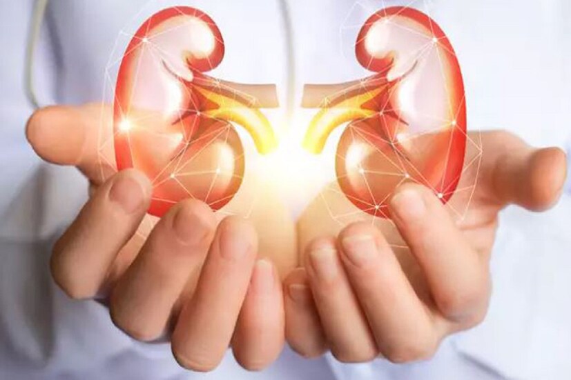আজ অর্থাৎ ১০ মার্চ বিশ্ব কিডনি দিবস (World Kidney Day) ৷ উদ্দশ্যে এই গুরুত্বপূর্ণ অঙ্গ কীভাবে ভাল রাখা যায় সেই বিষয়ে একটি সচেতনতা গড়ে তোলা ৷ প্রতীকী ছবি ৷
