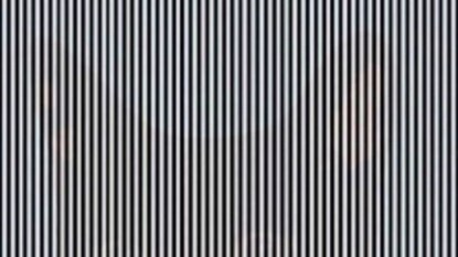 Optical Illusion Optical Illusion