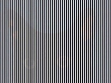 Optical Illusion 