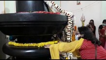শিবরাত্রির দিনে শিবলিঙ্গে জল ঢালার জন্য ভক্তদের ভিড় শিবনিবাস মন্দিরে শিবরাত্রির দিনে শিবলিঙ্গে জল ঢালার জন্য ভক্তদের ভিড় শিবনিবাস মন্দিরে