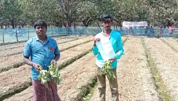 ক্ষতিগ্রস্ত