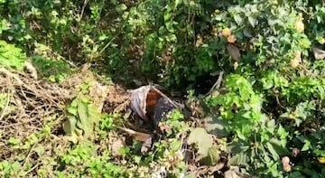 সালানপুর