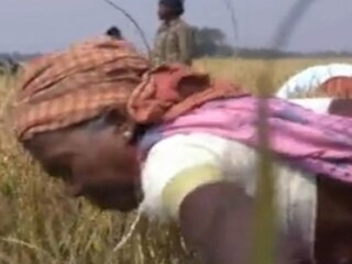 মিড ডে মিলের জন্যে চাল সংগ্রহ সম্পূর্ণ করল রাজ্য সরকার 
