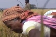 মিড ডে মিলের জন্যে চাল সংগ্রহ সম্পূর্ণ করল রাজ্য সরকার মিড ডে মিলের জন্যে চাল সংগ্রহ সম্পূর্ণ করল রাজ্য সরকার