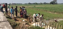 আলুর জমিতে বোমা বিস্ফোরণ, আহত দাদু নাতি আলুর জমিতে বোমা বিস্ফোরণ, আহত দাদু নাতি