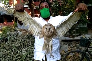 বিরল