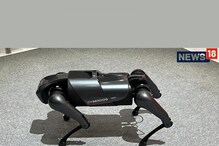 Xiaomi's Robot Dog: Xiaomi-র এই রোবট কুকুর দেখে অবাক হবেন, কাজ করছে মালিকের কথামতো! Xiaomi's Robot Dog: Xiaomi-র এই রোবট কুকুর দেখে অবাক হবেন, কাজ করছে মালিকের কথামতো!