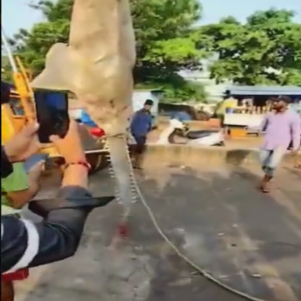 বিশেষজ্ঞরা দাবি করেছেন, গত এক দশকে ভারতীয় উপকূলে কার্পেন্টার হাঙ্গর ১০ বারেরও কম দেখা গিয়েছে।