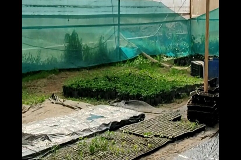 রাঁচিতে থাকলে বেশিরভাগ সময় এই ফার্ম হাউসে কাটান ধোনি। এমনকী কতটা জমিতে কী ফসল ফলানো হচ্ছে তার তদারকি করেন খোদ মাহি ও তাঁর স্ত্রী সাক্ষী। 