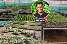 MS Dhoni Poly House: চাষের কাজে হাত পাকিয়ে ফেলেছেন ধোনি! ঘুরে দেখুন মাহির খামার বাড়ি MS Dhoni Poly House: চাষের কাজে হাত পাকিয়ে ফেলেছেন ধোনি! ঘুরে দেখুন মাহির খামার বাড়ি