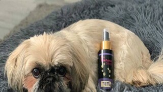 কুকুরদের জন্য ২০ ধরণের পারফিউম বানিয়েছেন তিনি। কোনওটার নাম বার্ক জেকব, কোনওটার 