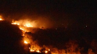 জ্বলছে রাজ্যের জঙ্গল। 