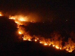 জ্বলছে রাজ্যের জঙ্গল। 