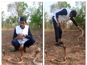 মাজ সইদের করা ভিডিও-র স্ক্রিনশট৷ 