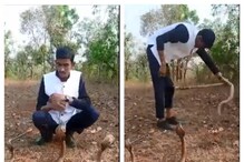তিন গোখরোর সামনে কেরামতি যুবকের, পরিণতি হল মারাত্মক! দেখুন ভিডিও তিন গোখরোর সামনে কেরামতি যুবকের, পরিণতি হল মারাত্মক! দেখুন ভিডিও