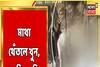প্রতিবাদীকে পিটিয়ে খুন! CCTV ক্যামেরায় নৃশংস হত্যার ছবি, দেখুন ভিডিও