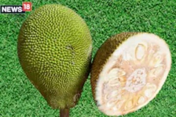 কুটতে সময় লাগে বলে এঁচোড় কেনেন না? অজান্তেই হারাচ্ছেন অঢেল উপকারিতা