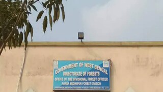 বন্য জীবজন্তুর রক্ষা করেই অন্যদিকে সতর্কতামূলক প্রচারে নেমেছে পূর্ব মেদিনীপুর জেলা বনদপ্তর বন্য জীবজন্তুর রক্ষা করেই অন্যদিকে সতর্কতামূলক প্রচারে নেমেছে পূর্ব মেদিনীপুর জেলা বনদপ্তর