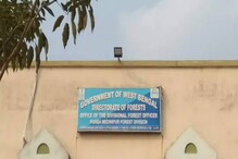 জলে কুমির, ডাঙায় বন্য শূকর, সাধারণ মানুষের প্রাণ বাঁচাতে প্রচার বন দফতরের জলে কুমির, ডাঙায় বন্য শূকর, সাধারণ মানুষের প্রাণ বাঁচাতে প্রচার বন দফতরের