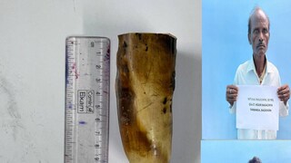 এসএসবি-র গোয়েন্দা এবং বন দপ্তর অবশেষে ফাঁদে ফেলে অভিযুক্তদের গ্রেফতার করে