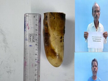 এসএসবি-র গোয়েন্দা এবং বন দপ্তর অবশেষে ফাঁদে ফেলে অভিযুক্তদের গ্রেফতার করে