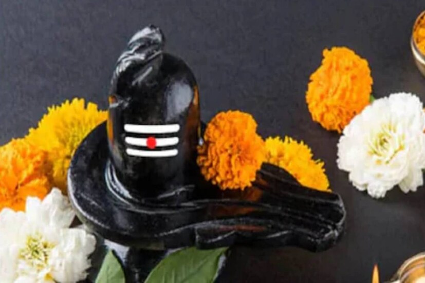 কিছু দিন আগেই দেশজুড়ে মহা সমারোহে পালিত হল মহাশিবরাত্রি তিথি৷ ফাল্গুন এবং চৈত্র, এই দুই মাসই শিবভক্তদের কাছে অত্যন্ত গুরুত্বপূর্ণ৷ 