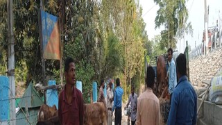 পুলিশকর্মীরা যেটি দেখলেন তাতে তাদের চক্ষু চড়কগাছ