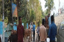 গোবর দেখে সন্দেহ! তুষের বস্তার নীচে যা লুকিয়ে রাখা সেটা দেখে চক্ষু চড়কগাছ গোবর দেখে সন্দেহ! তুষের বস্তার নীচে যা লুকিয়ে রাখা সেটা দেখে চক্ষু চড়কগাছ