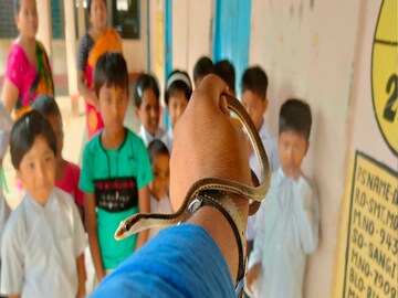 Dhupguri Snake