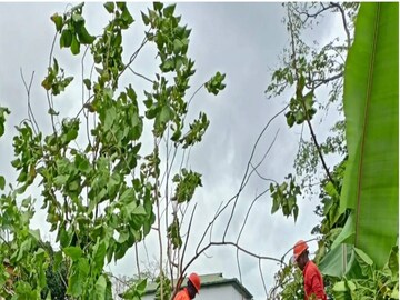 বিশ্ব আবহাওয়া সংস্থা বলেছে যে ঘূর্ণিঝড়ের নামকরণই মানুষের কাছে সতর্কবার্তা পাঠাতে সাহায্য করে