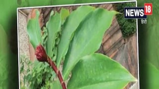 Photo- Representative