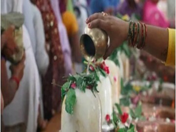 বেলপাতা ও বেলফল দুটোই পুজোপার্বণে বহুলব্যবহৃত হয়