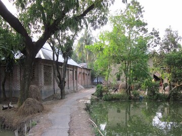 প্রতীকী ছবি। 