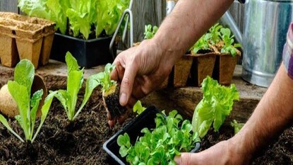 photo source collected photo source collected