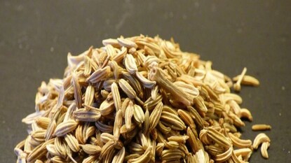 মৌরি: দিনের কোন সময়ে সিগারেট খেতেন, তা খেয়াল করুন। এ বার সেই সময়টা সিগারেটের বদলে মুখে ফেলে রাখুন কয়েক দানা মৌরি। অনেকেই মনে করেন, সিগারেট ছাড়লেই মৌরি বা মশলাকে আঁকড়ে ধরতে হবে! এমন ভুল করবেন না। মৌরি রাখুন সঙ্গে। তবে তার ব্যবহারও করুন খুব নিয়ন্ত্রণ রেখে। কারণ, যে কোনও মশলাও স্নায়ুকে উদ্দীপ্ত করে সেই মশলার প্রতি আসক্ত করে তুলতে পারে। আর কোনও আসক্তিই শরীরের জন্য ঠিক নয়। মৌরি: দিনের কোন সময়ে সিগারেট খেতেন, তা খেয়াল করুন। এ বার সেই সময়টা সিগারেটের বদলে মুখে ফেলে রাখুন কয়েক দানা মৌরি। অনেকেই মনে করেন, সিগারেট ছাড়লেই মৌরি বা মশলাকে আঁকড়ে ধরতে হবে! এমন ভুল করবেন না। মৌরি রাখুন সঙ্গে। তবে তার ব্যবহারও করুন খুব নিয়ন্ত্রণ রেখে। কারণ, যে কোনও মশলাও স্নায়ুকে উদ্দীপ্ত করে সেই মশলার প্রতি আসক্ত করে তুলতে পারে। আর কোনও আসক্তিই শরীরের জন্য ঠিক নয়।